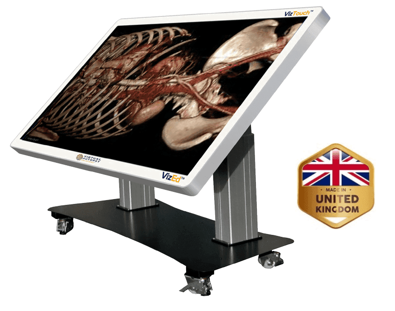 VizTouch3D™ Excellentia
